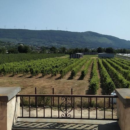 Agriturismo Il Casale Del Cavaliere SantʼAgata deʼ Goti المظهر الخارجي الصورة